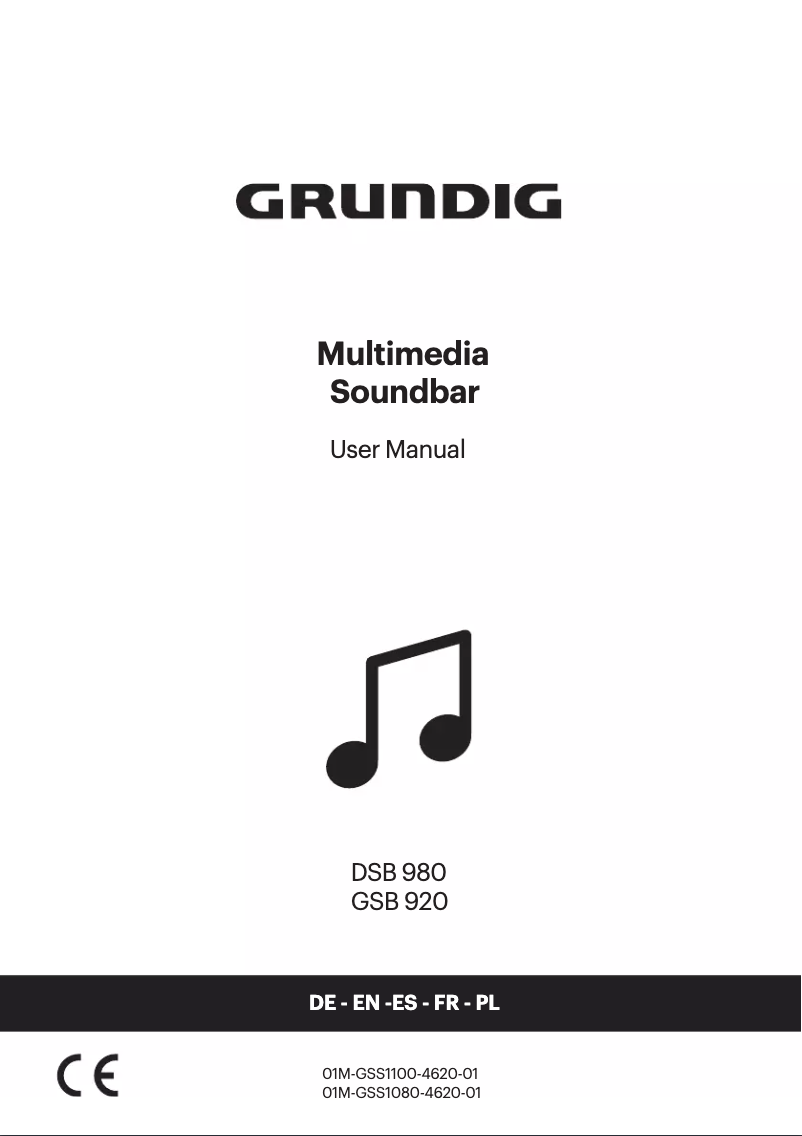 Page n°1 - Manuel utilisateur Grundig DSB 980