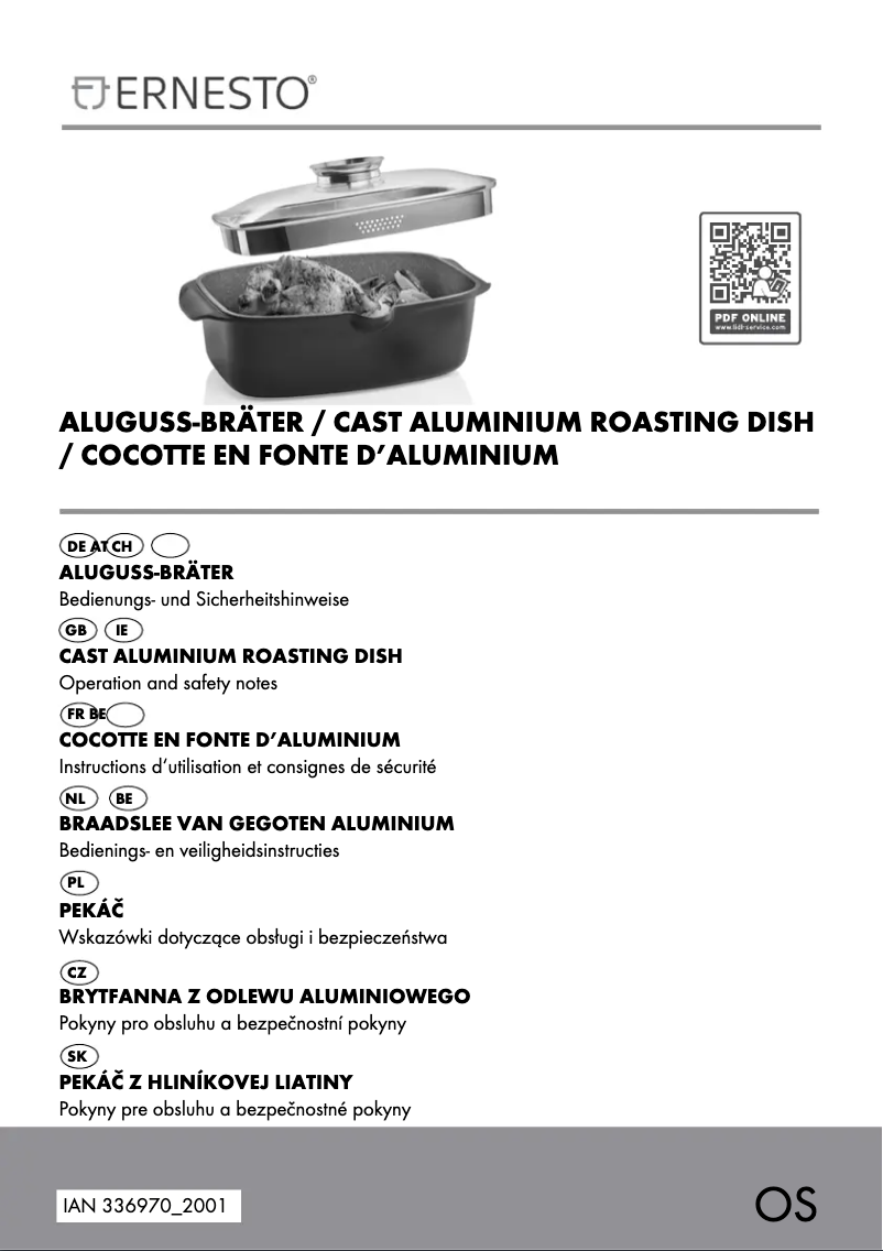 Page n°1 - Manuel utilisateur Ernesto IAN 336970