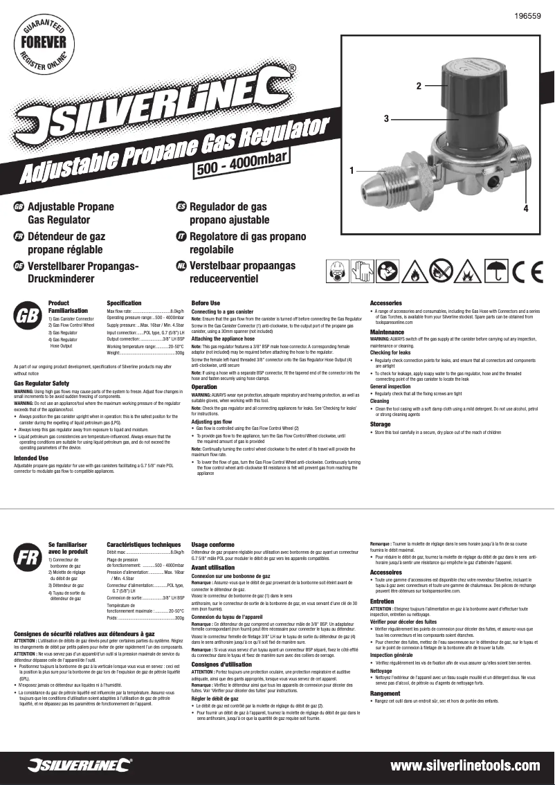 Page n°1 - Manuel utilisateur Silverline 196559