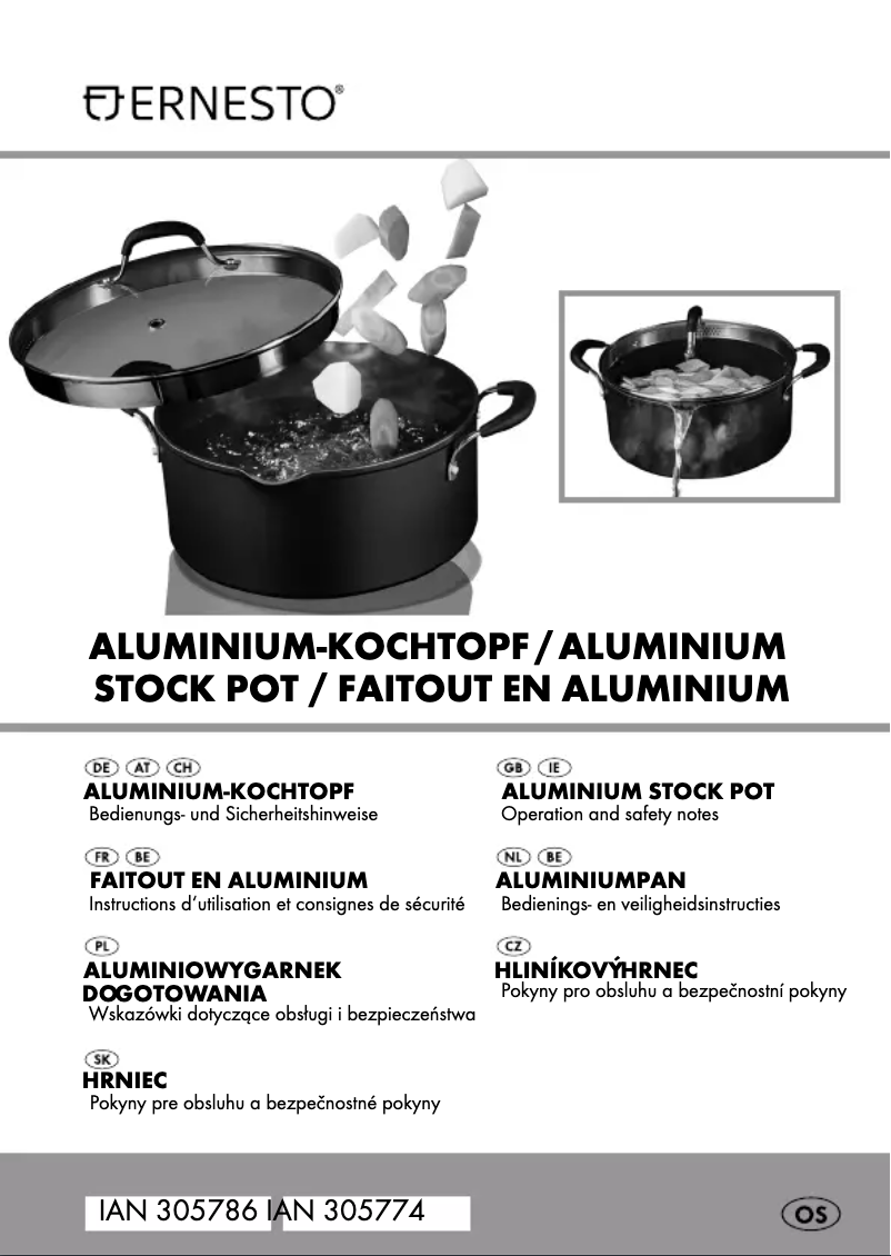 Page 1 de la notice Manuel utilisateur Ernesto IAN 305786