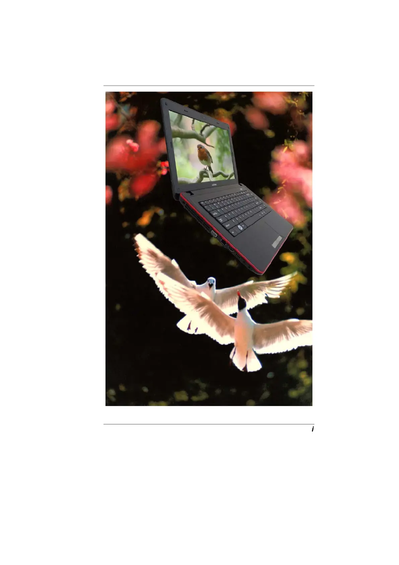 Image de la première page du manuel de l'appareil H41IA1