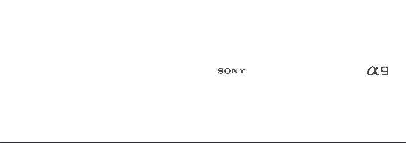 Page 1 de la notice Brochure Sony Alpha A9