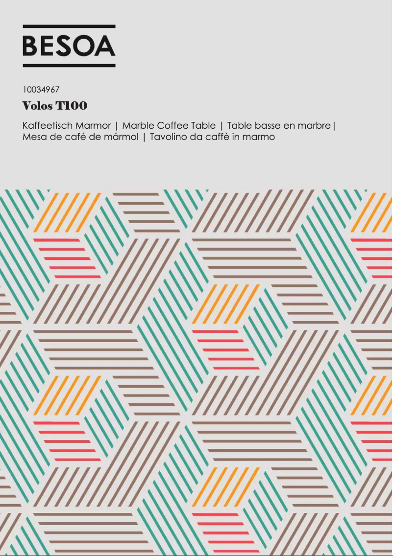 Página 1 del manual Manual de usuario Besoa Volos T100