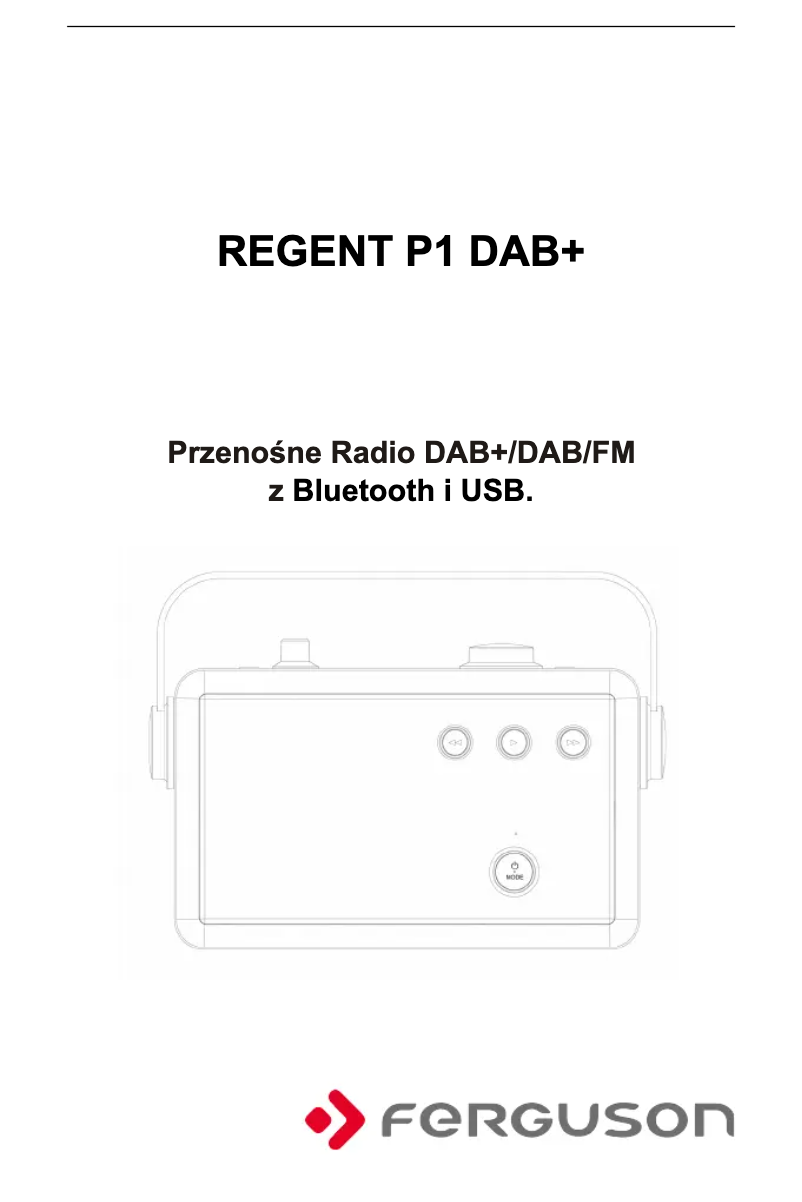 Image de la première page du manuel de l'appareil Regent P1 DAB+