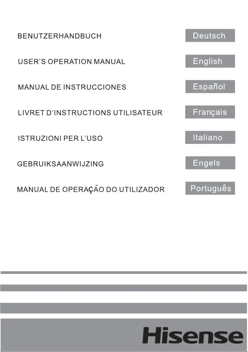 Page n°1 - Manuel utilisateur Hisense RT156D4AG1