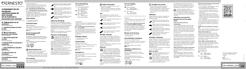 Page n°1 - Manuel utilisateur Ernesto IAN 498880