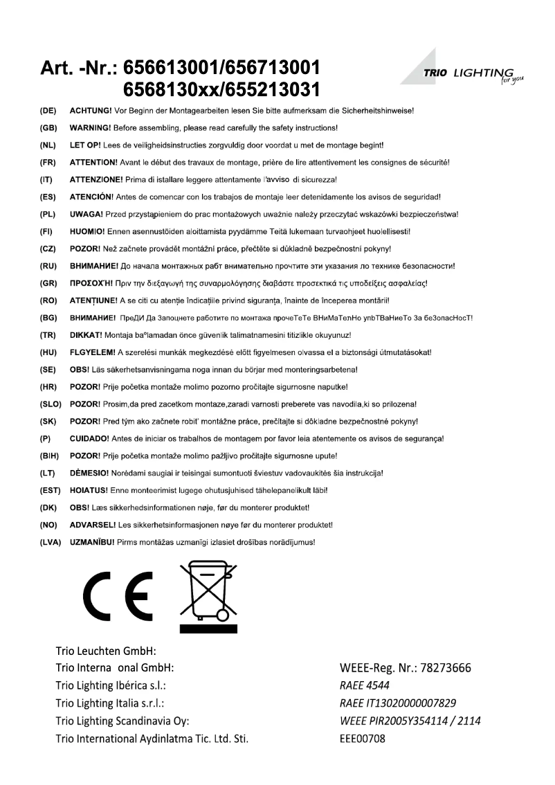 Page n°1 - Manuel utilisateur Trio Lighting Ontario 655213031