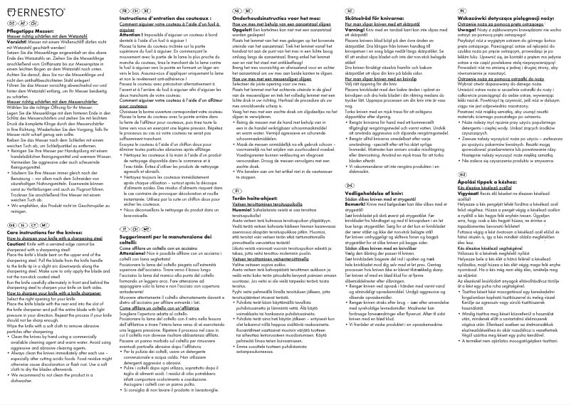 Page 1 de la notice Manuel utilisateur Ernesto IAN 276811