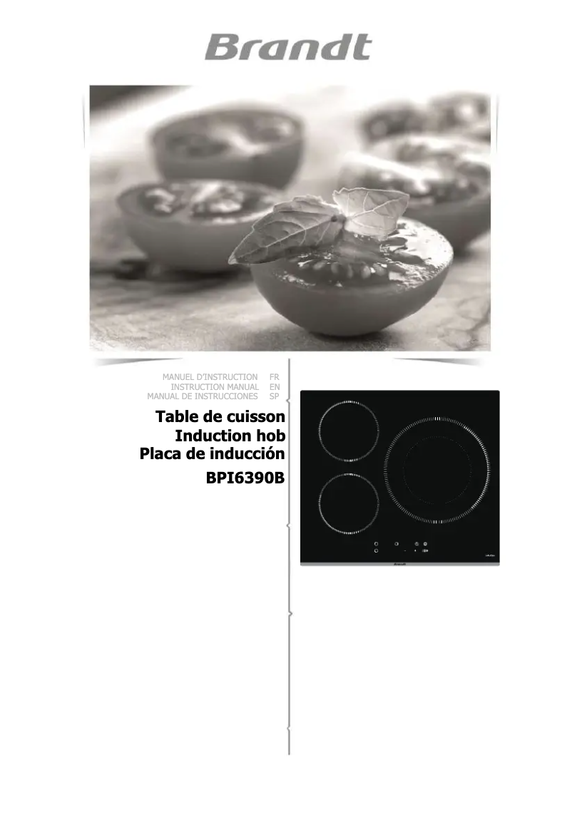 Page 1 de la notice Manuel utilisateur Brandt BPI6390B