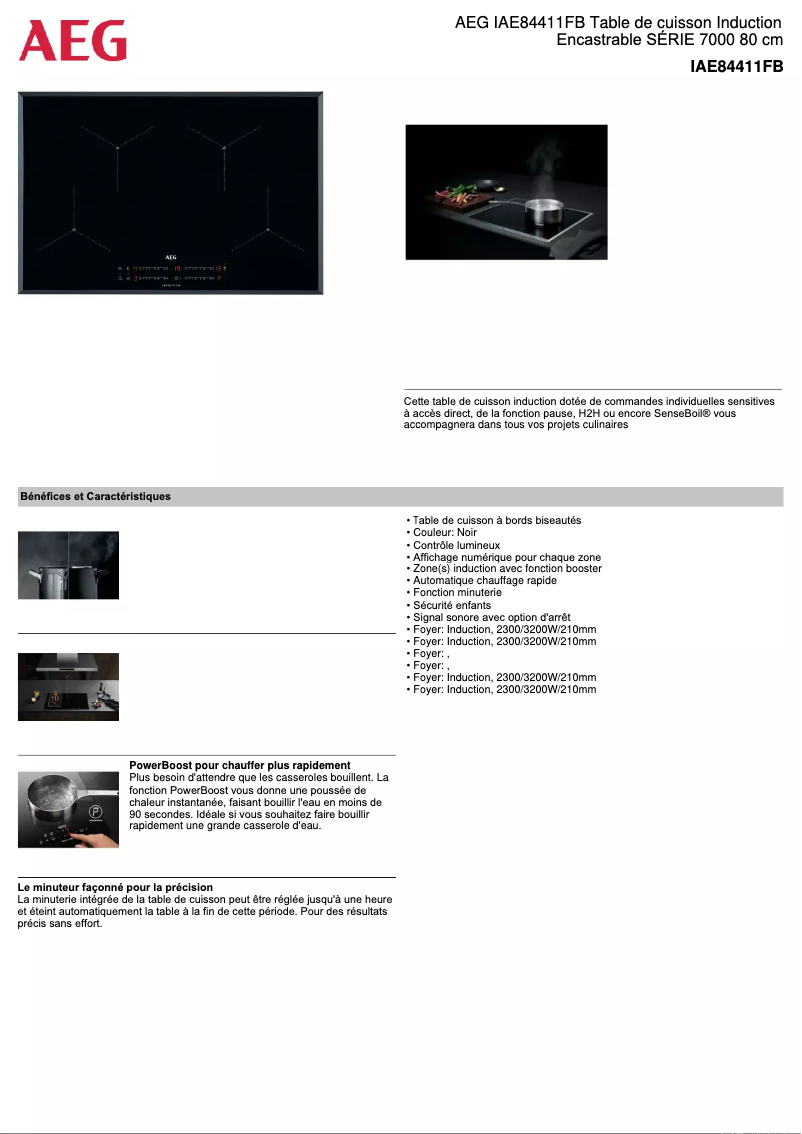 Página 1 del manual Ficha técnica AEG IAE84411FB