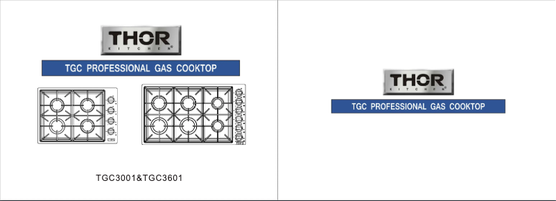 Image de la première page du manuel de l'appareil TGC3001