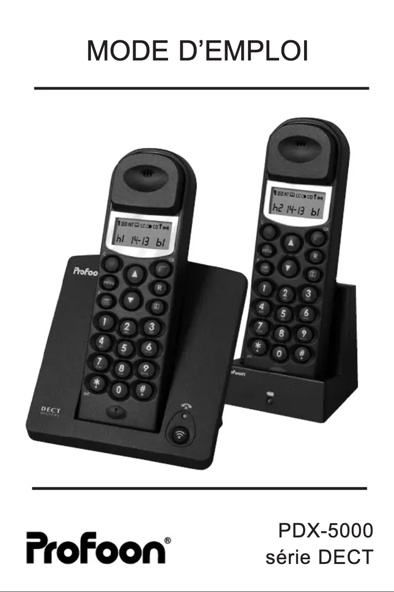 Página 1 del manual Manual de usuario Profoon PDX-5030