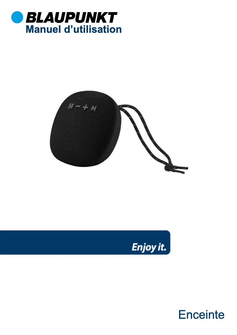 Page n°1 - Manuel utilisateur Blaupunkt BLP3120