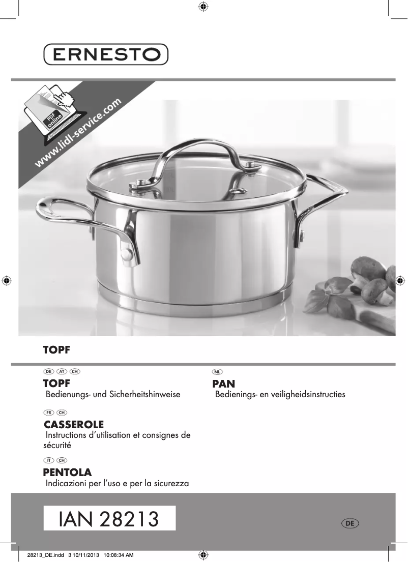 Page 1 de la notice Manuel utilisateur Ernesto IAN 28213