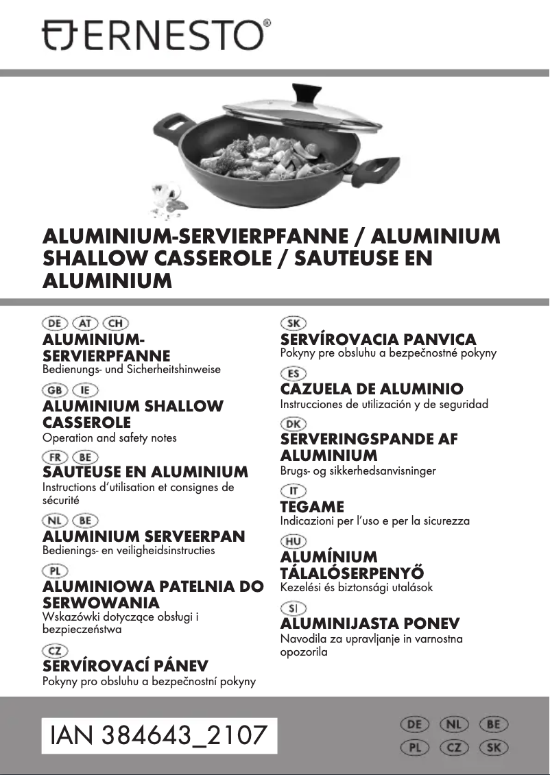 Page 1 de la notice Manuel utilisateur Ernesto HG08777