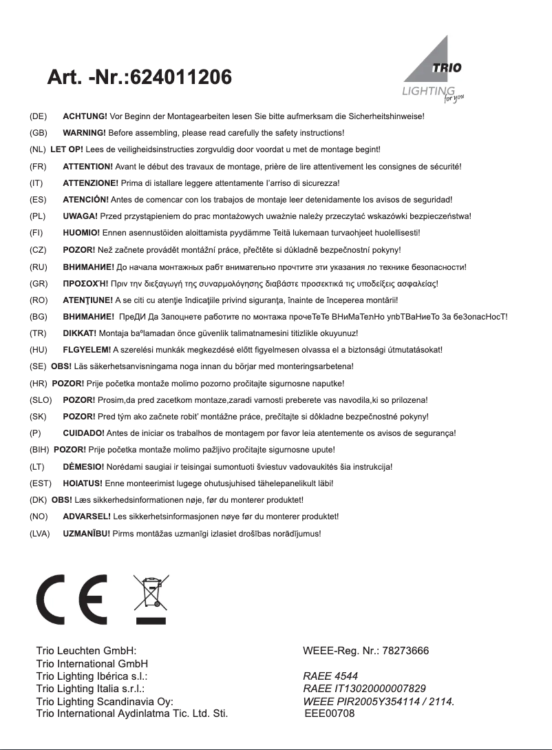Page 1 de la notice Manuel utilisateur Trio Lighting Nicolas 624011206