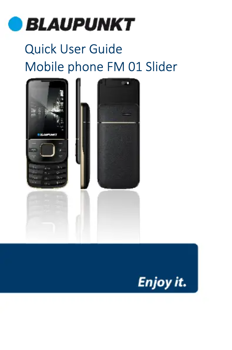 Page n°1 - Manuel utilisateur Blaupunkt FM 01 Slider