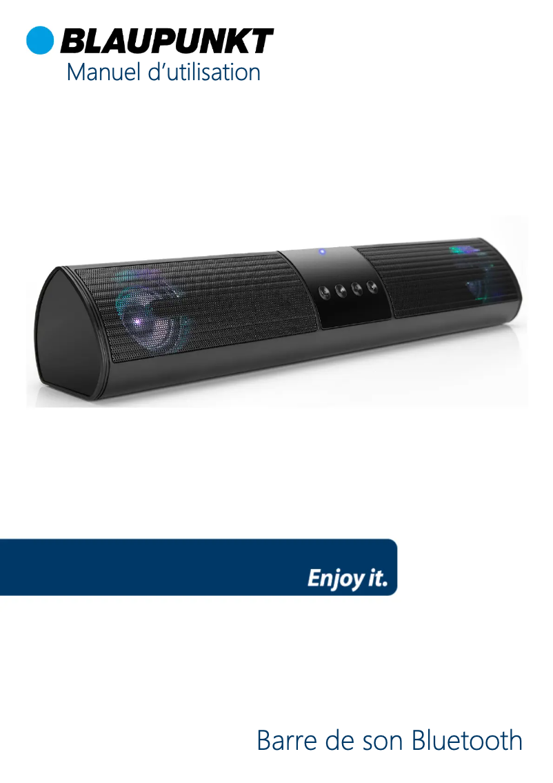 Page 1 de la notice Manuel utilisateur Blaupunkt BLP9960