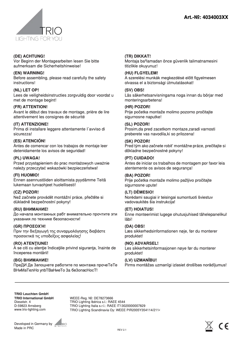 Page n°1 - Manuel utilisateur Trio Lighting Lance 403400317