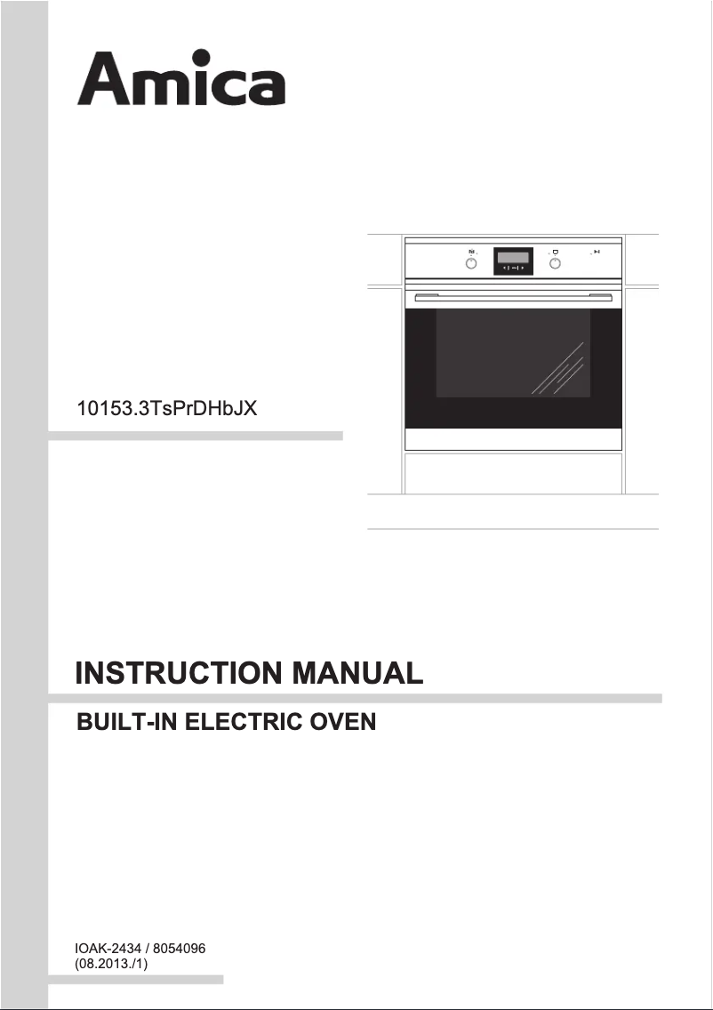 Page n°1 - Manuel utilisateur Amica 1053.3TsPrXPYRO