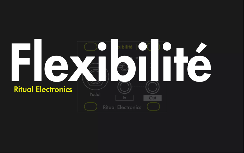 Image de la première page du manuel de l'appareil Flexibilité