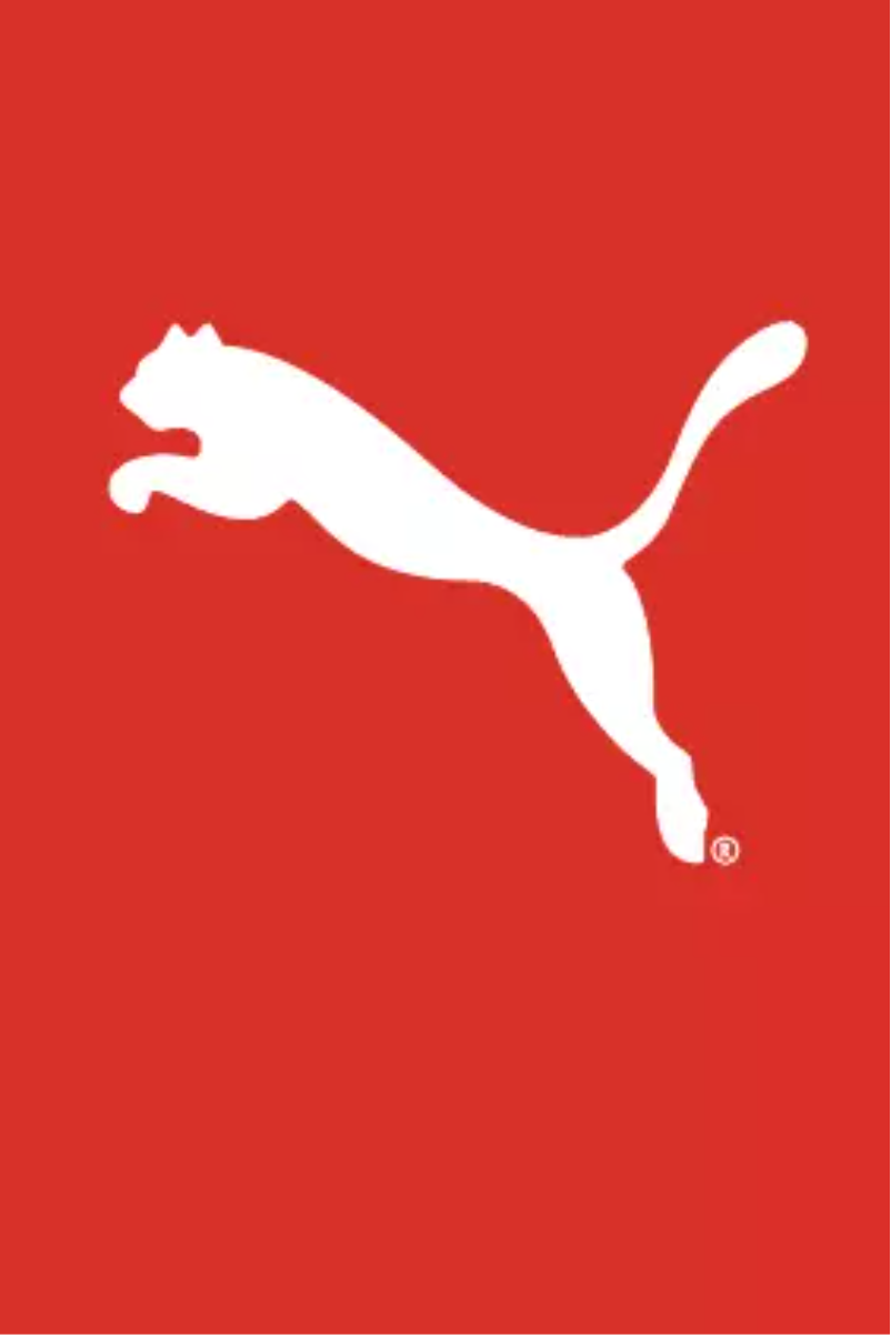 Page n°1 - Manuel utilisateur Puma Flux