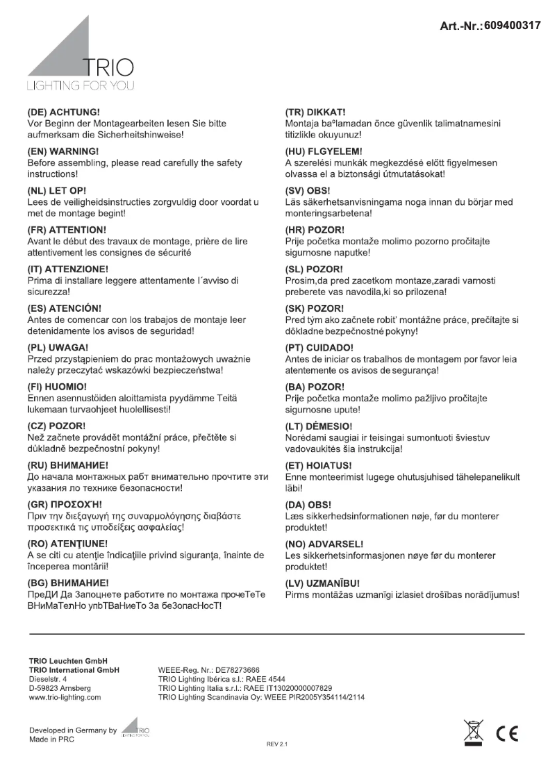 Page n°1 - Manuel utilisateur Trio Lighting Ibis 609400317