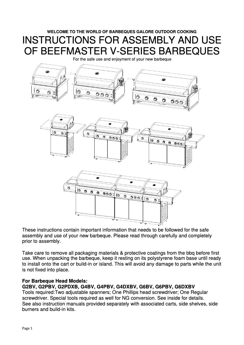 Image de la première page du manuel de l'appareil V Series G2PBV