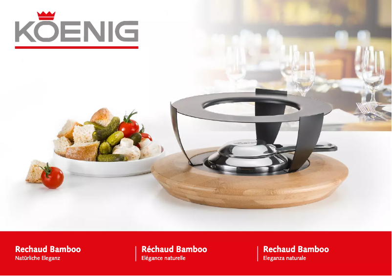 Page 1 de la notice Mode d'emploi Koenig B02229