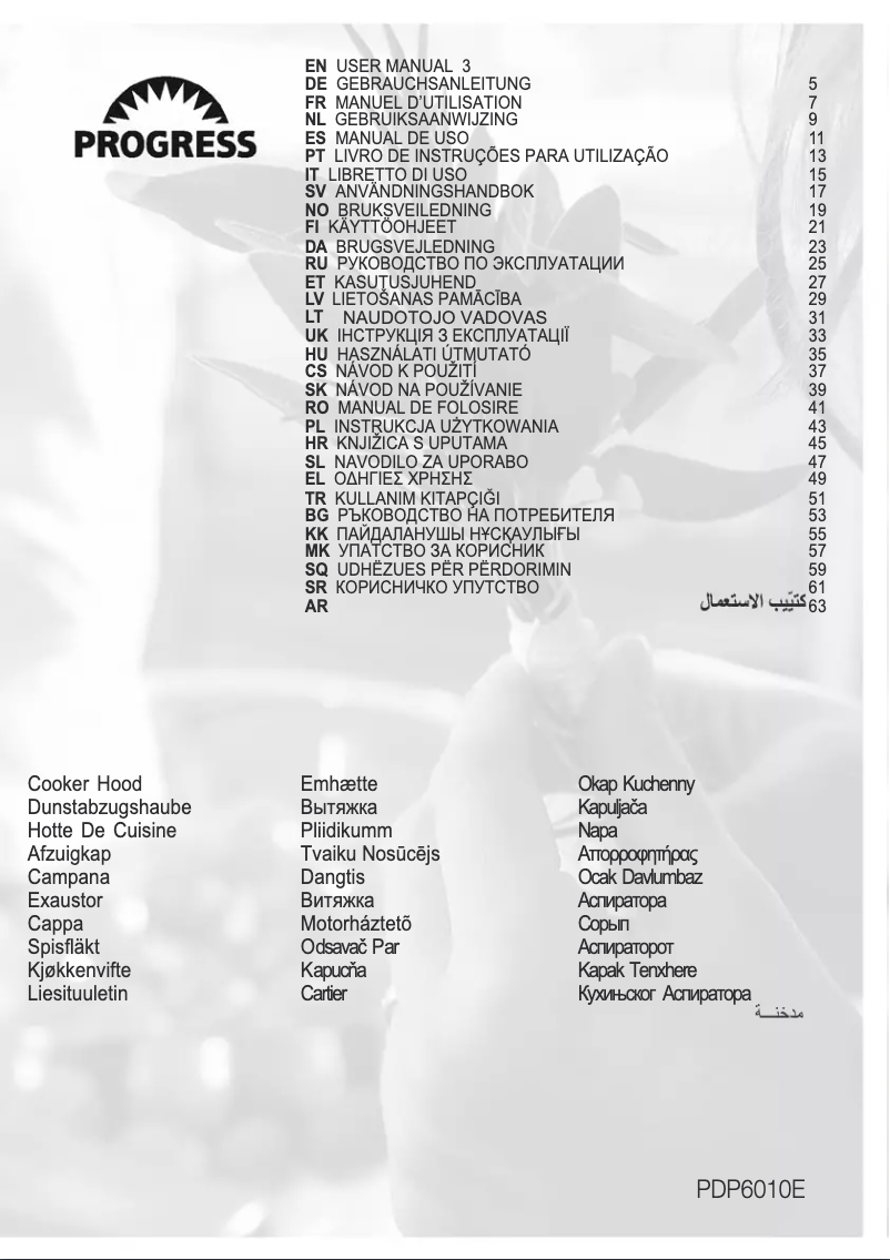 Image de la première page du manuel de l'appareil PDP6010E