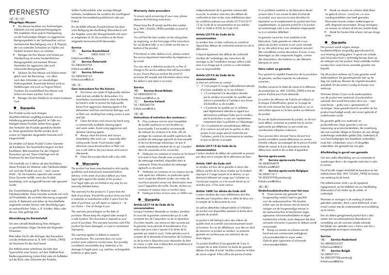 Page n°1 - Manuel utilisateur Ernesto IAN 360257