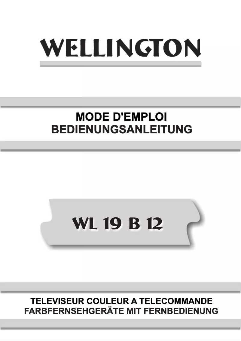 Page n°1 - Manuel utilisateur Wellington WL19B12