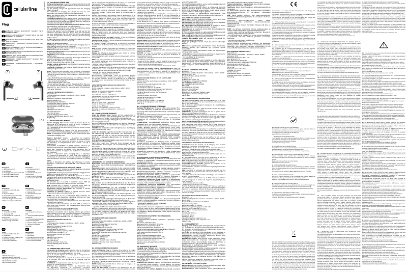 Page 1 de la notice Manuel utilisateur Cellular Line Flag