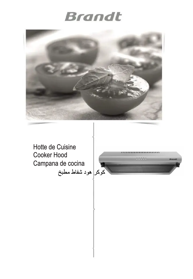 Page 1 de la notice Manuel utilisateur Brandt BHC6601X
