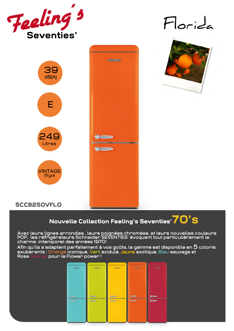 Image de la première page du manuel de l'appareil SCCB250VFLO