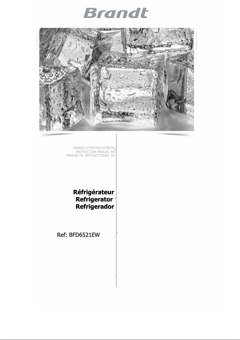 Image de la première page du manuel de l'appareil BFD6521EW