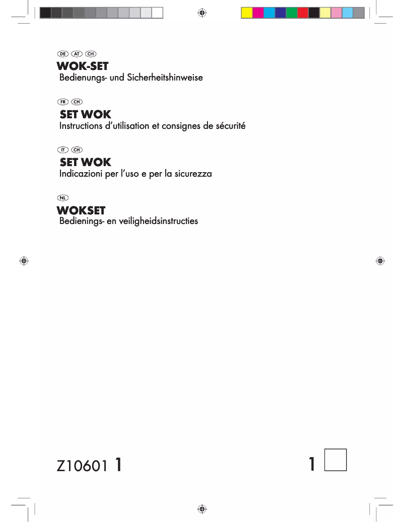 Page n°1 - Manuel utilisateur Ernesto Z10601