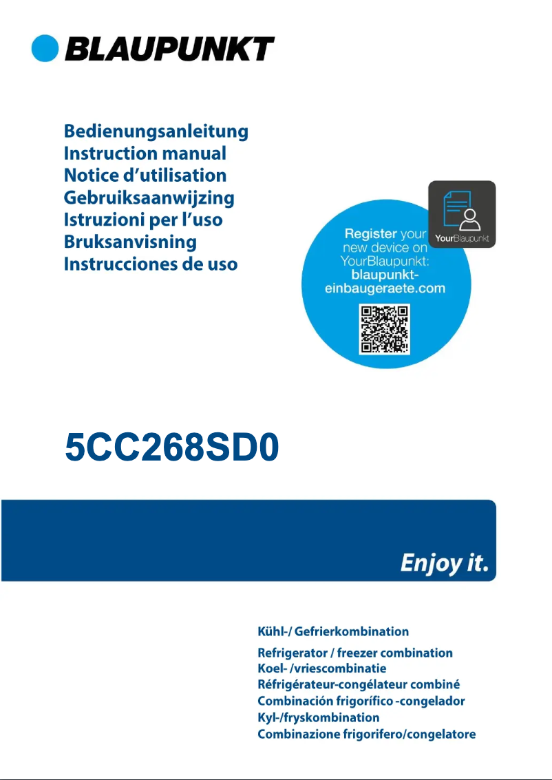 Page n°1 - Guide d'installation Blaupunkt 5CC268SD0