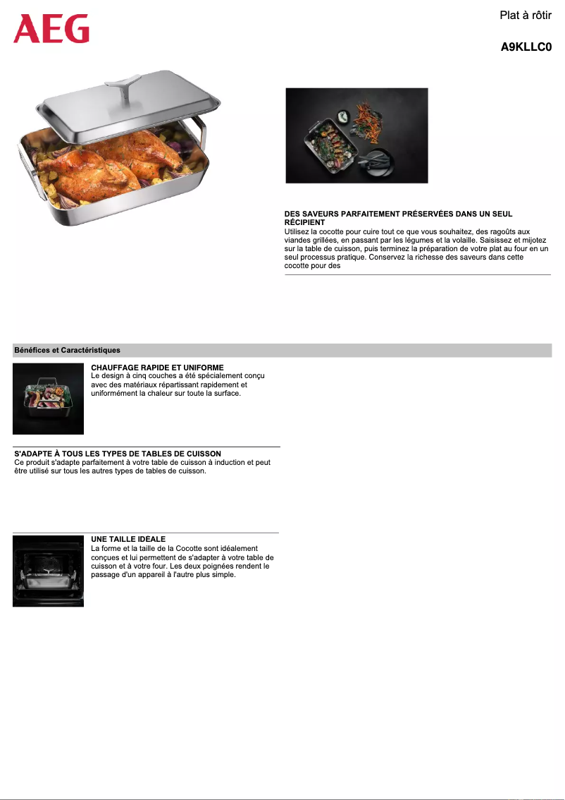 Page n°1 - Fiche technique AEG A9KLLC0