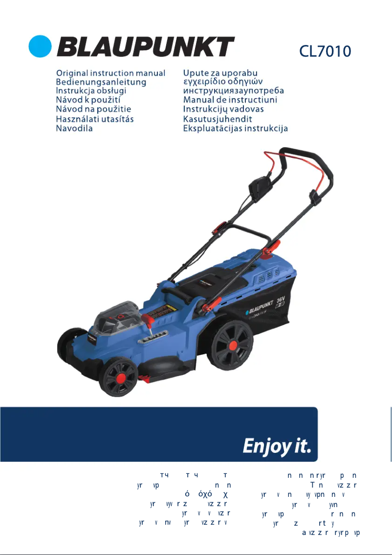 Page n°1 - Manuel utilisateur Blaupunkt CL7010
