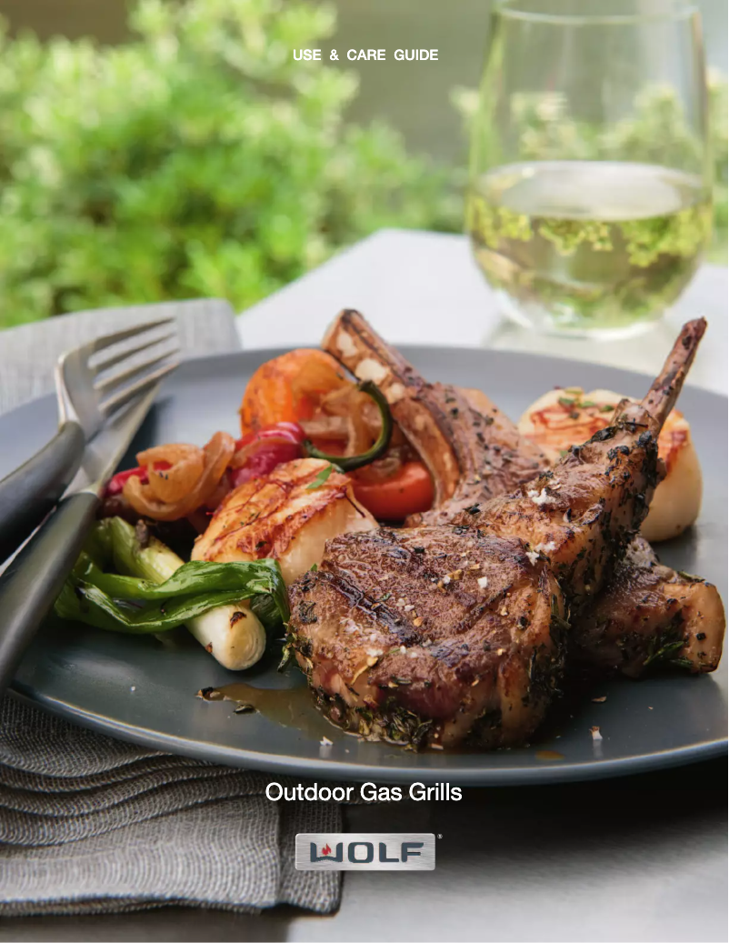 Page 1 de la notice Manuel d'utilisation et d'entretien Wolf SB13LP