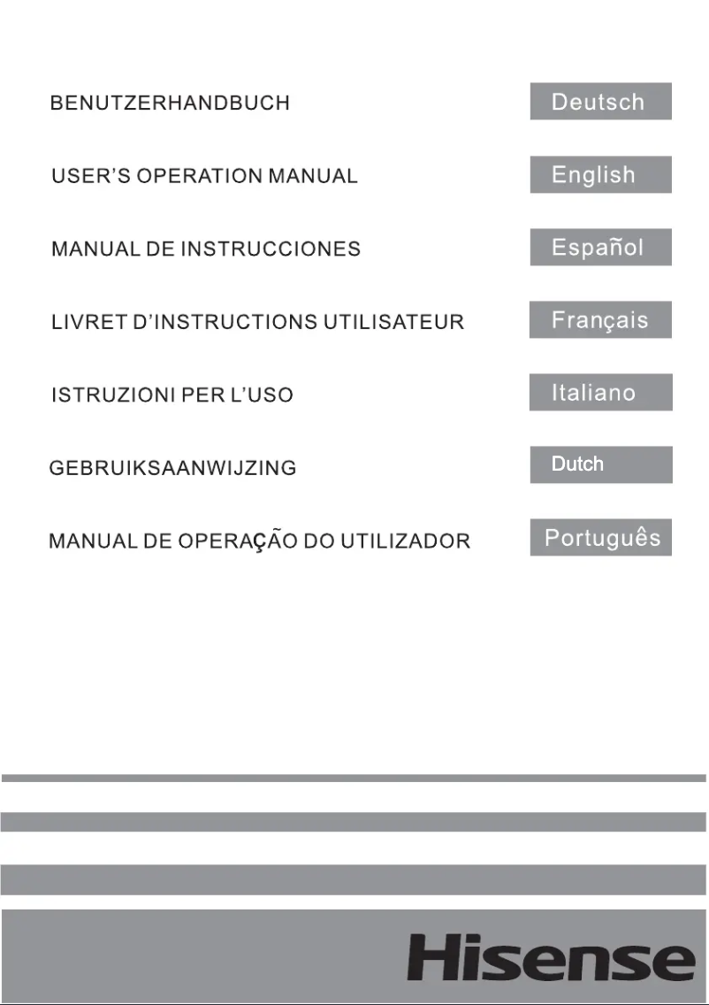 Page 1 de la notice Manuel utilisateur Hisense FV245N4AW2