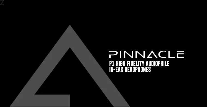 Page 1 de la notice Manuel utilisateur MEE audio Pinnacle P1