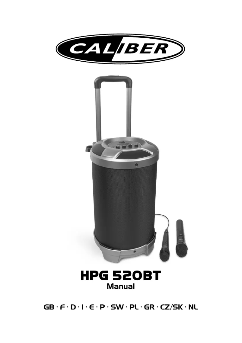 Page n°1 - Manuel utilisateur Caliber HPG 520BT