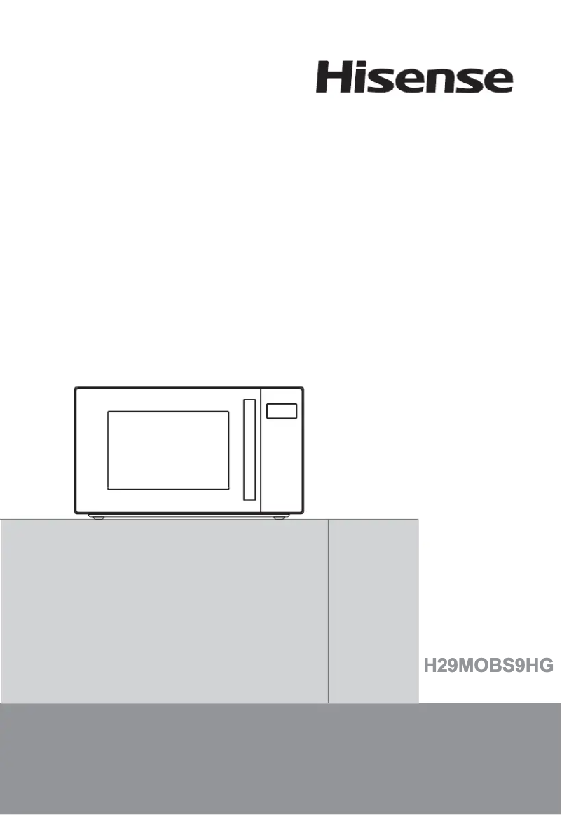 Page n°1 - Manuel utilisateur Hisense H29MOBS9HG