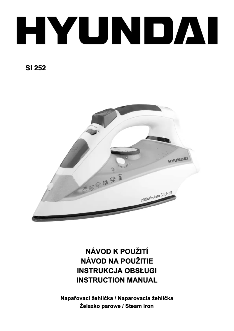 Page 1 de la notice Manuel utilisateur Hyundai SI 252