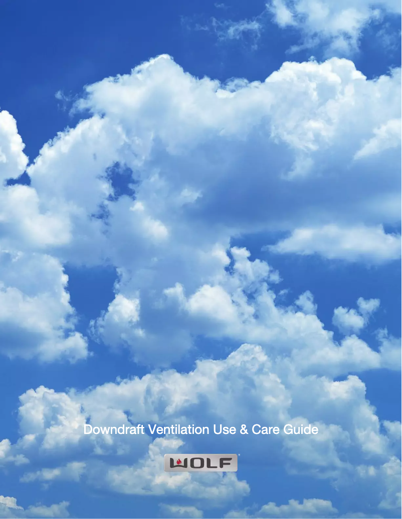 Page 1 de la notice Manuel d'utilisation et d'entretien Wolf DD30