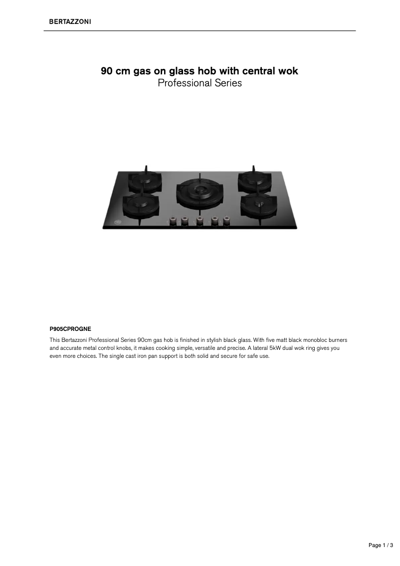 Image de la première page du manuel de l'appareil P905CPROGNE