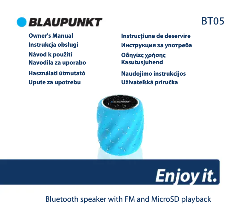 Page 1 de la notice Manuel utilisateur Blaupunkt BT05