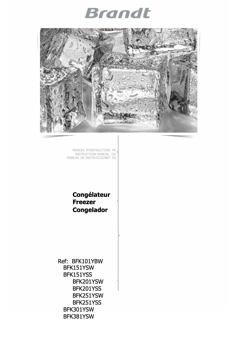 Image de la première page du manuel de l'appareil BFK301YSW